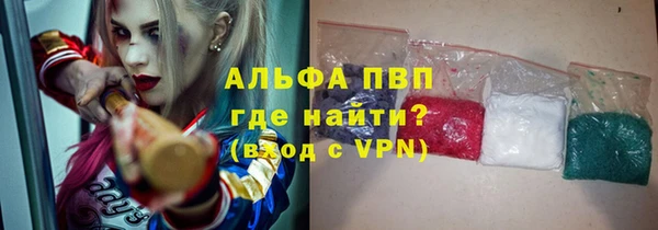 спиды Магас