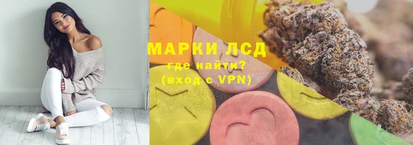 спиды Магас