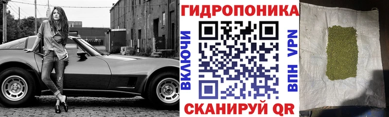 Конопля SATIVA & INDICA  мега как зайти  Сухиничи 